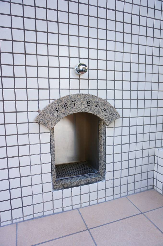 ペット用水道