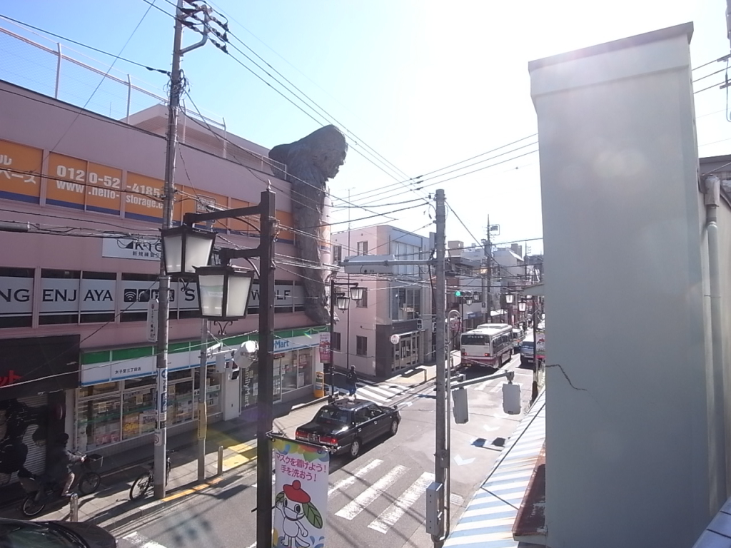 東南方面。ゴリラがみえますか・・・？
