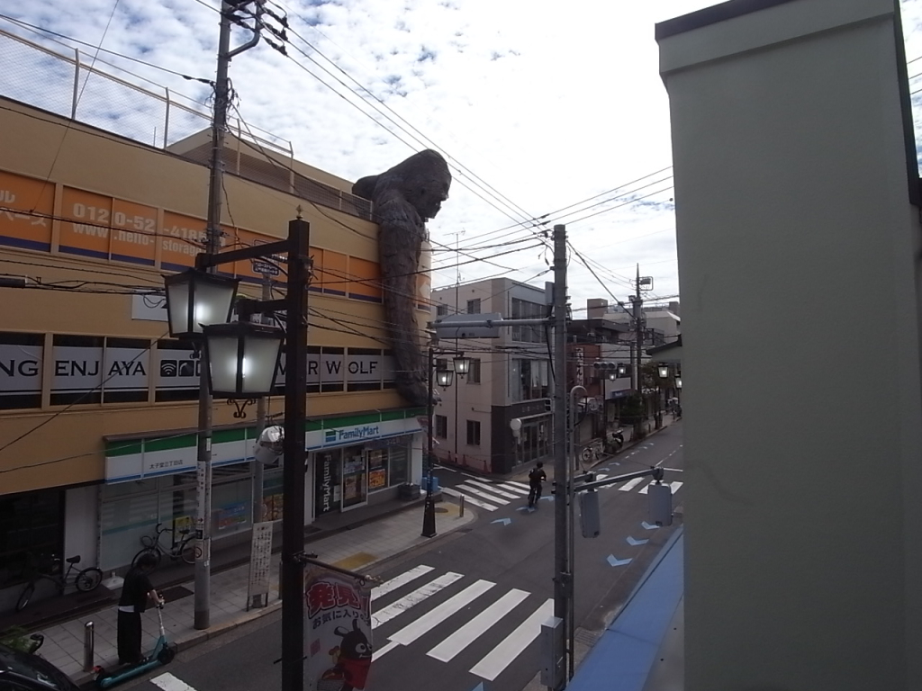 東南方面。ゴリラがみえますか・・・？
