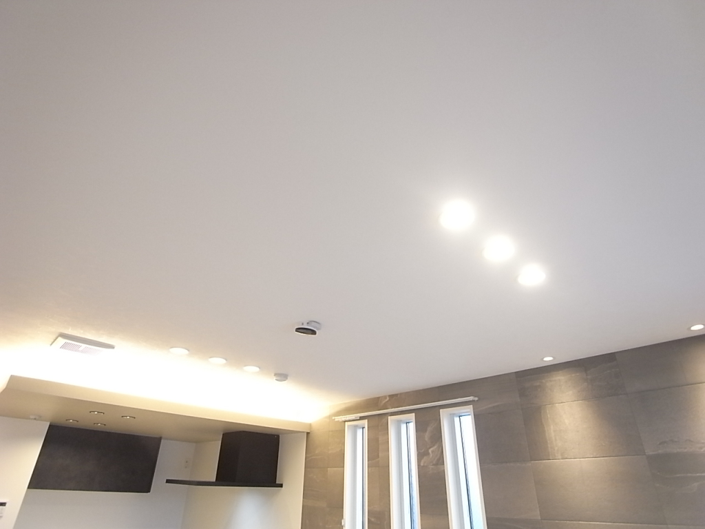 リビングダウンライト