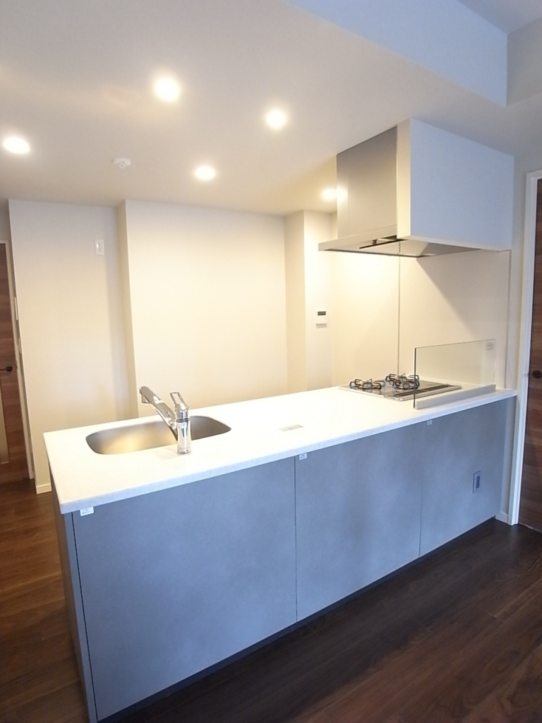 オープンタイプのカウンターキッチン！