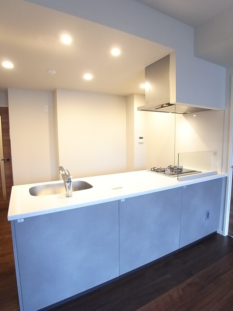 オープンタイプのカウンターキッチン！