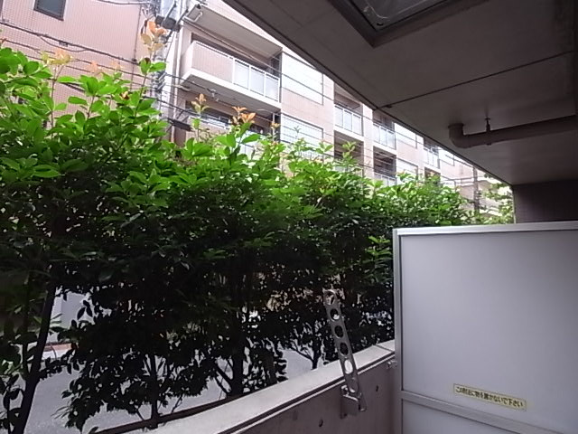 西方向の眺望