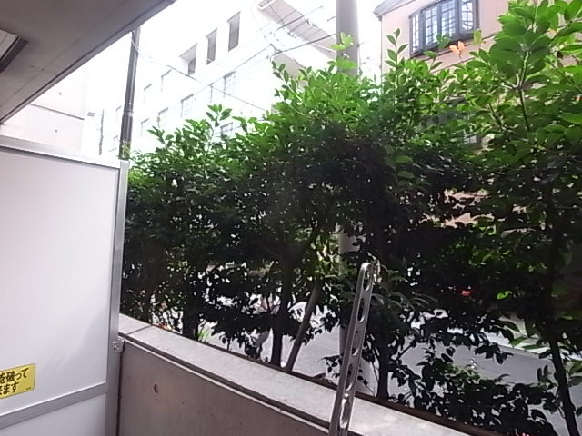 南方向の眺望