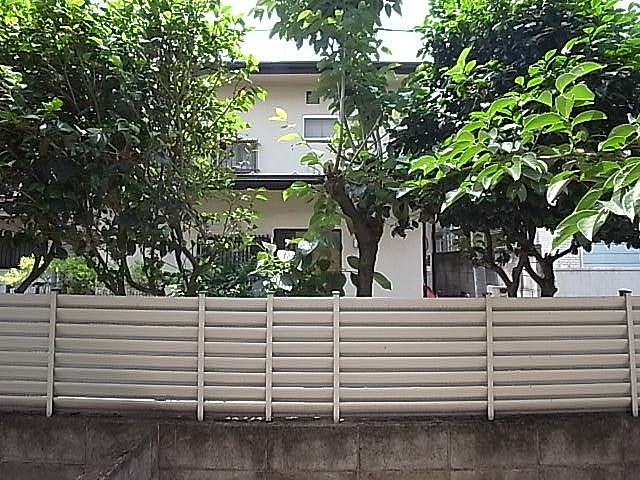 南側は2階建ての建物ばかりなので目線を塞ぎません！