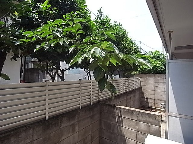 南西方向。一日しっかり日が当たります