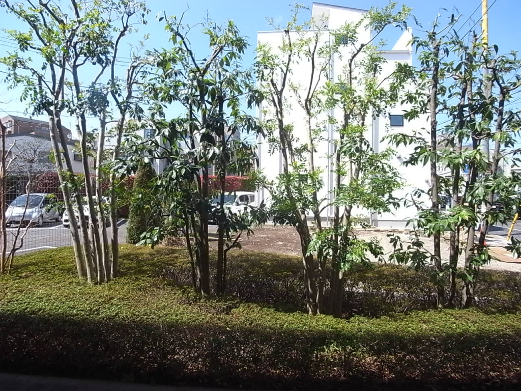 南西方向の眺望