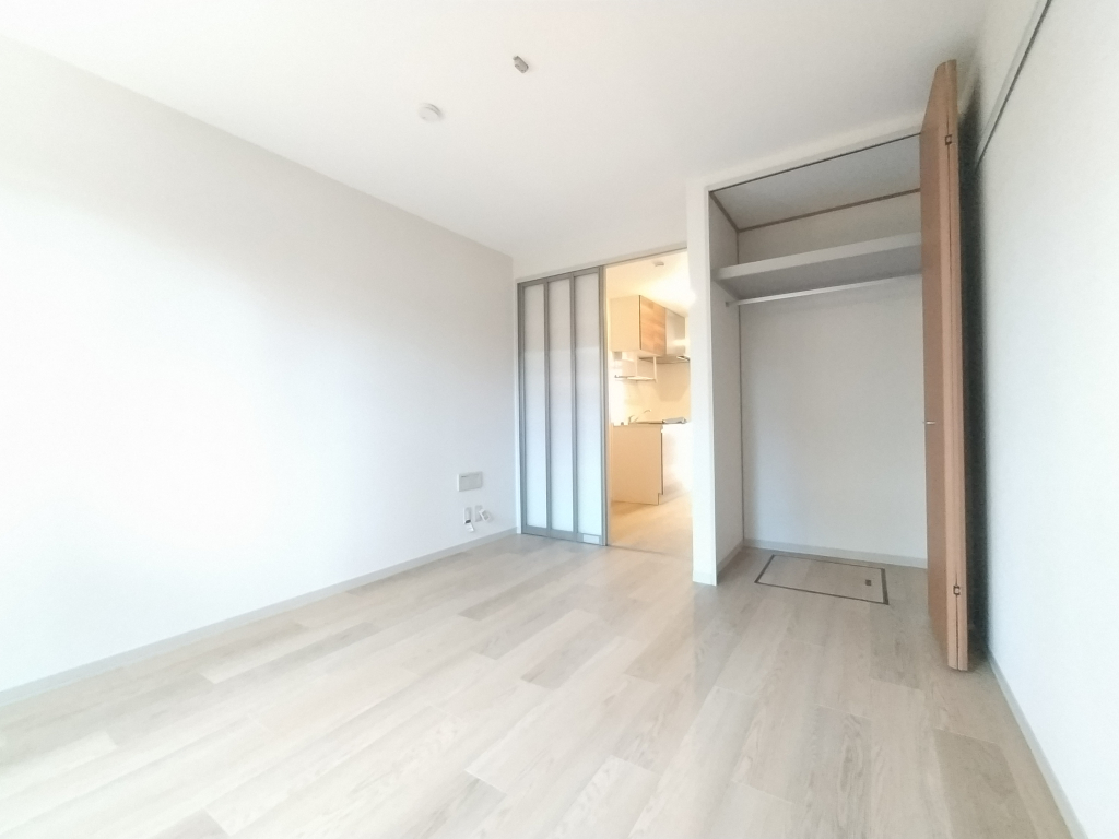 別角度からの洋室　ワードローブタイプの収納