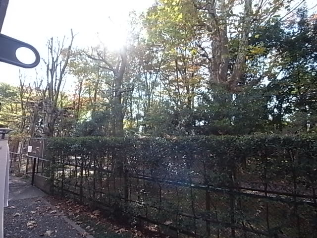 南西方面の様子。バルコニーの代わりに手すりあり。