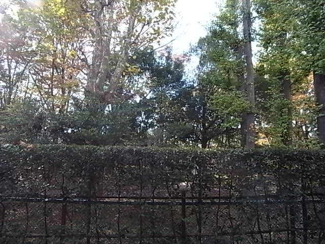 西方面の様子。