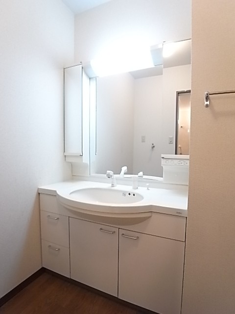 大型のミラーでしかも3面鏡！分譲マンション並です！シャンプードレッサーもあります！