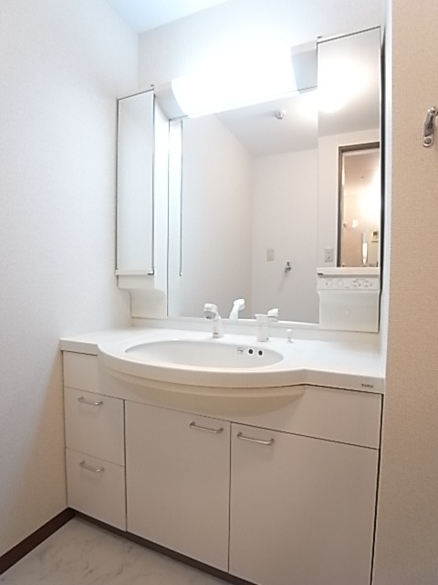 大きな鏡の付いた3面鏡！シャワー付き独立洗面台！