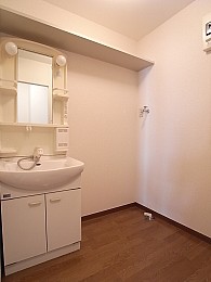 洗面台の横には大き目の洗濯機も置けます！