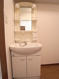 シャワー付き独立洗面台！