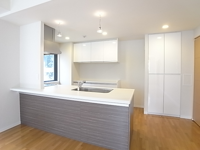 対面式のオープンカウンター！ペンダント式の照明もオシャレ！