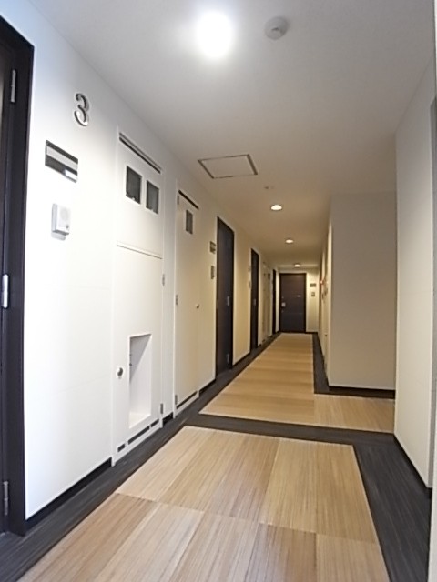 中廊下。カーペット敷きでここも高級感が漂う。