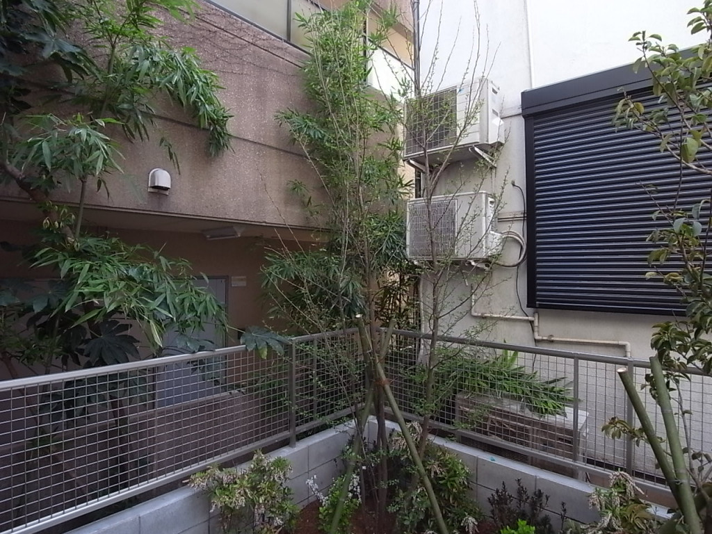 南西方向の眺望