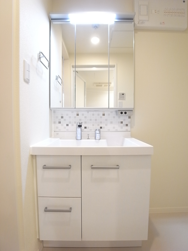 3面鏡のシャワー付き独立洗面台！