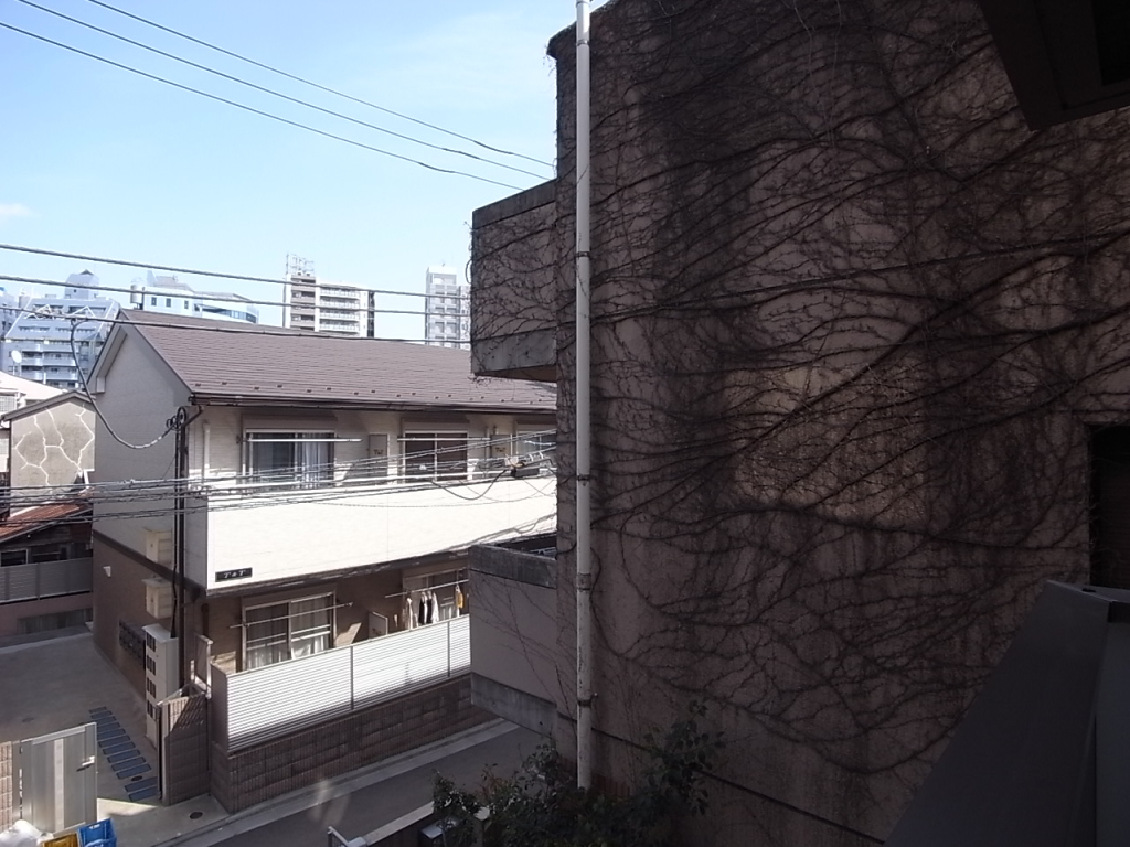 東南方向の眺望