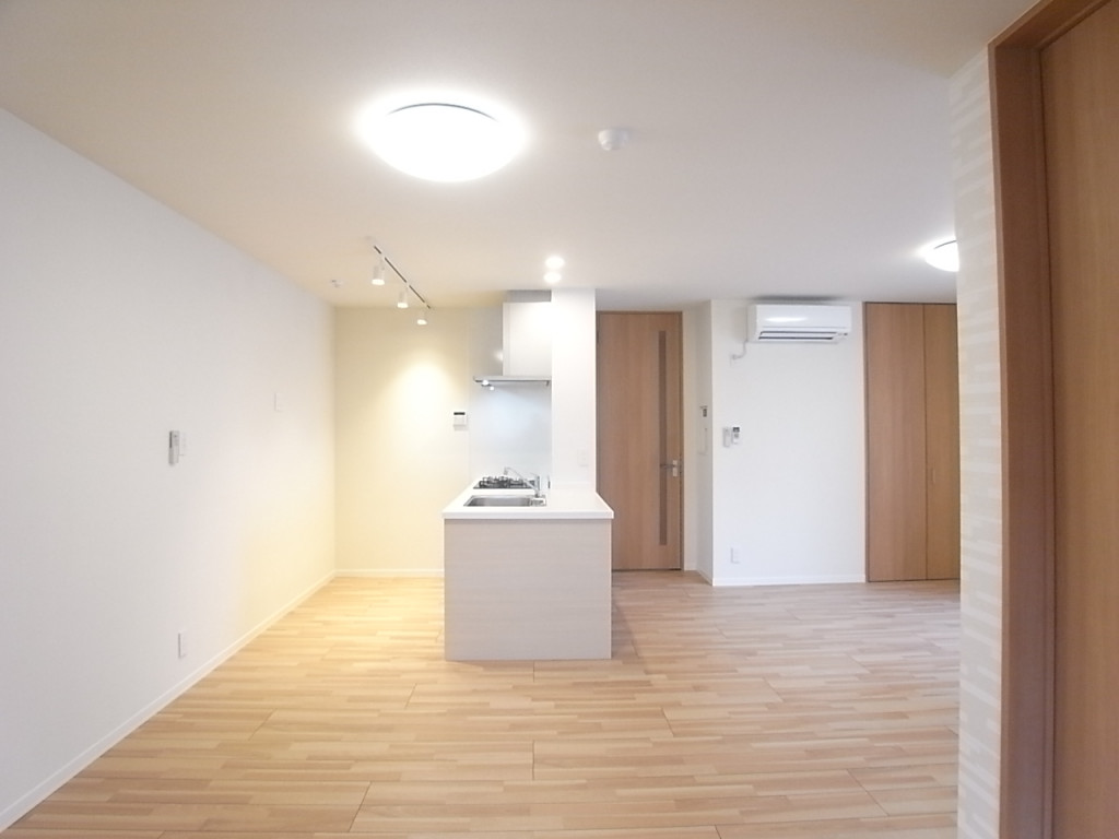 左側のドアは玄関からの入り口。右側はリビング収納の扉！