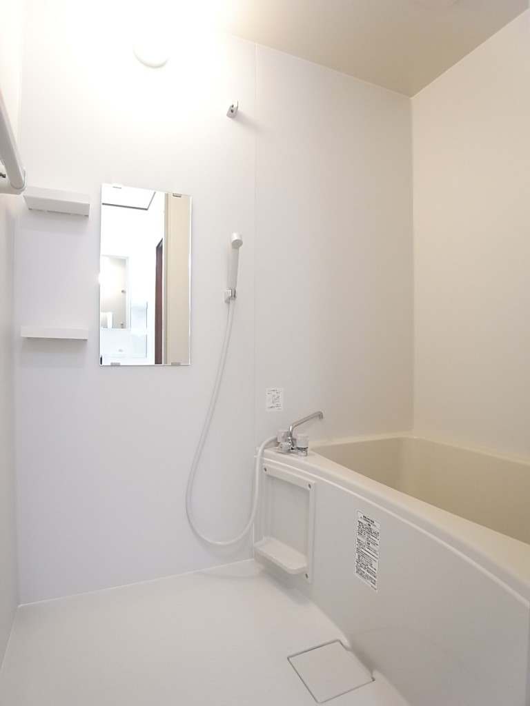 入れ替えたのできれいな浴室！