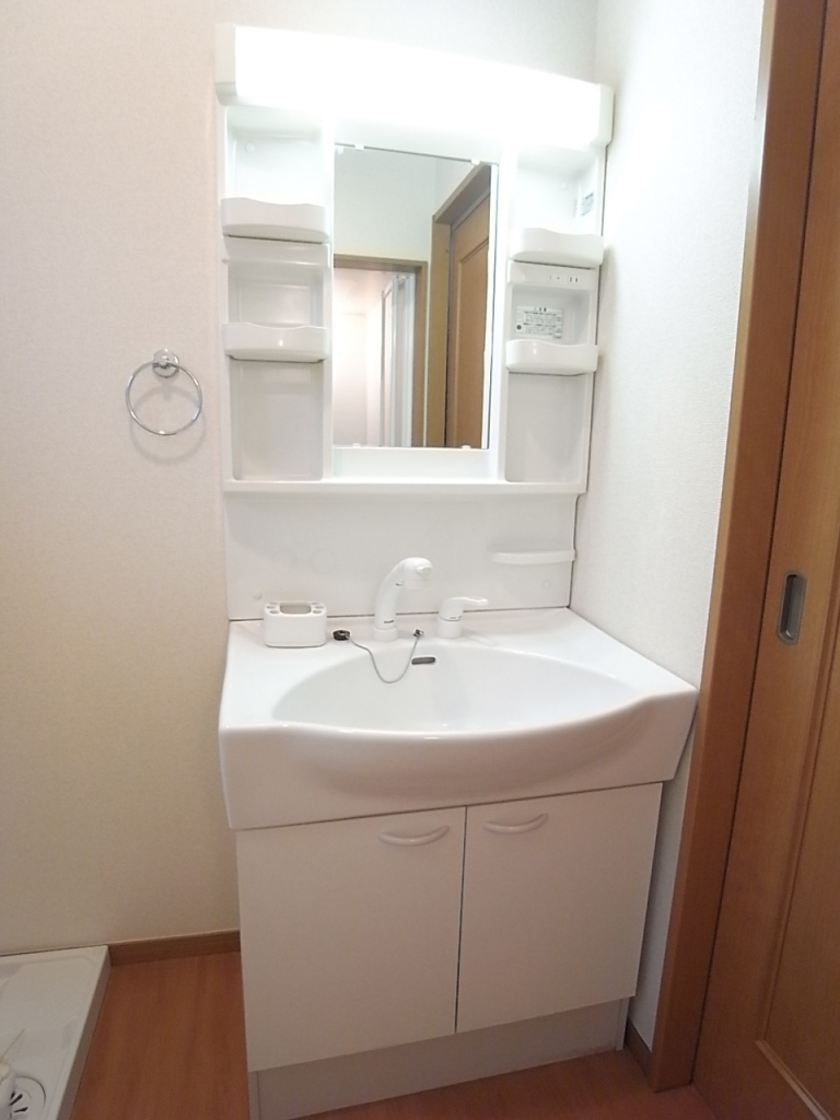 独立洗面台は3面鏡でシャワー付きです！