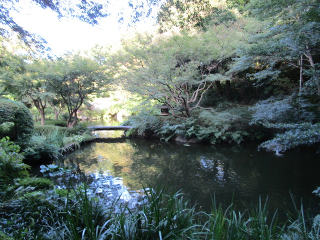 徒歩５分！　池田山公園