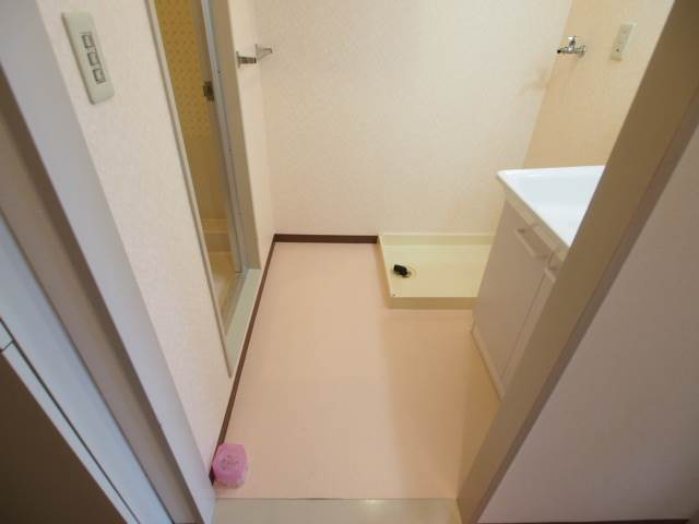 脱衣所が広いのでお風呂に入るときも便利。別部屋の写真です。