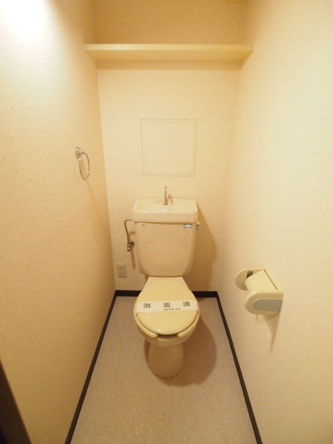 トイレもゆったり。これは別部屋の写真です。