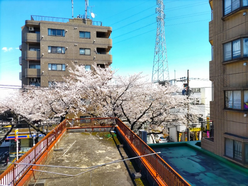 この時期は桜を眺める事ができますよ