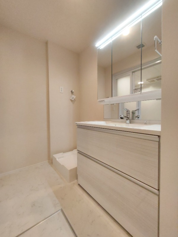 大きな洗面台が特徴的な洗面台です