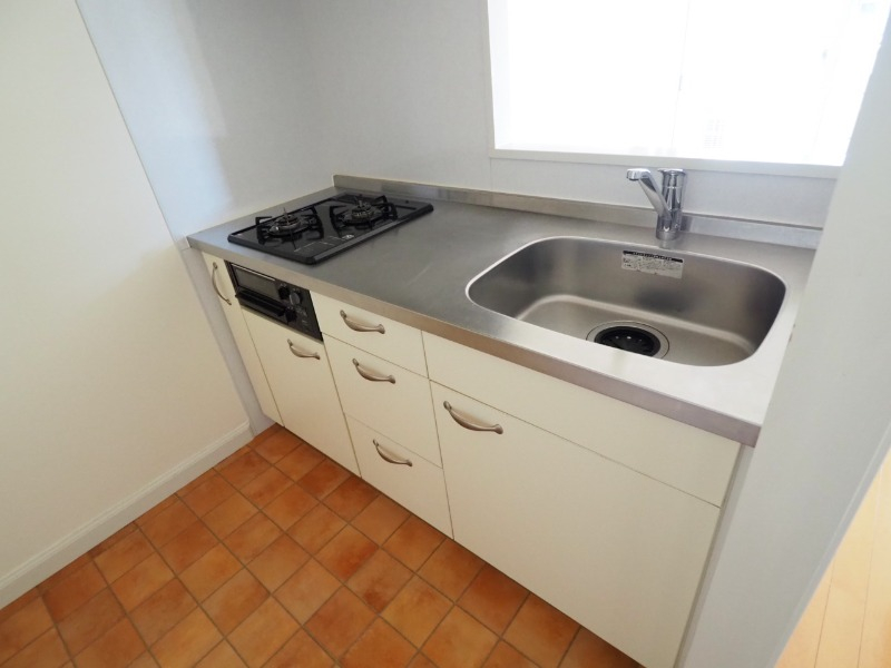 2口のシステムキッチンです。これは別部屋の写真です。