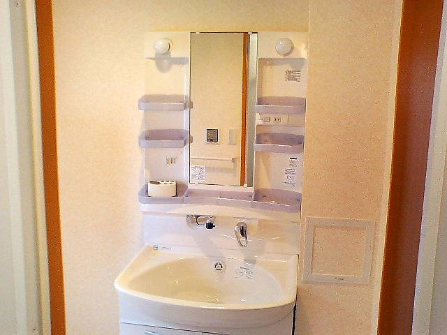 朝の支度に便利なシャンプードレッサー ※別部屋参考写真