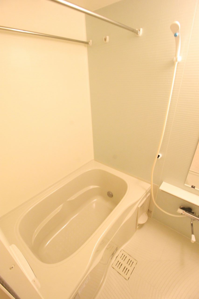 別の部屋の写真です