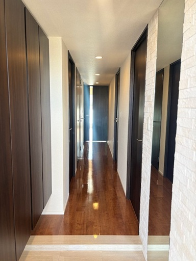 玄関　壁一部エコカラット