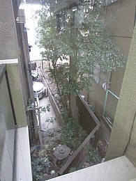 部屋からは緑も見えて景観もいいです