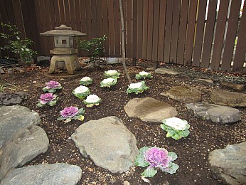 エントランス廻りはキレイにするよう心がけています