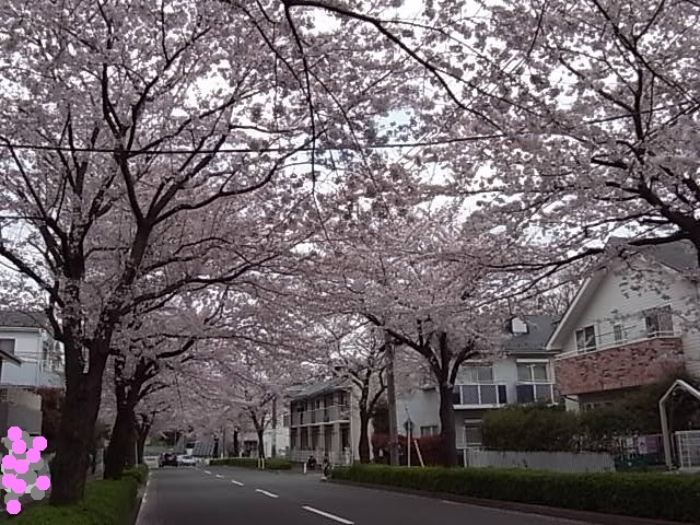 全面道路