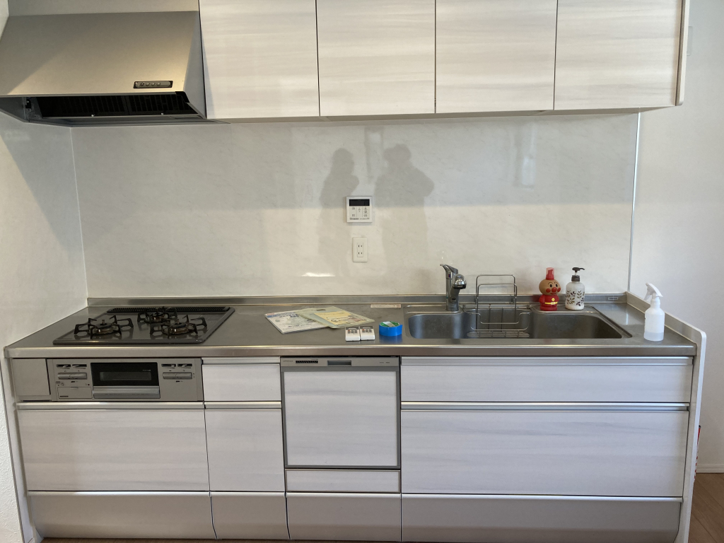 3口ガスシステムキッチン(食器洗浄機付）