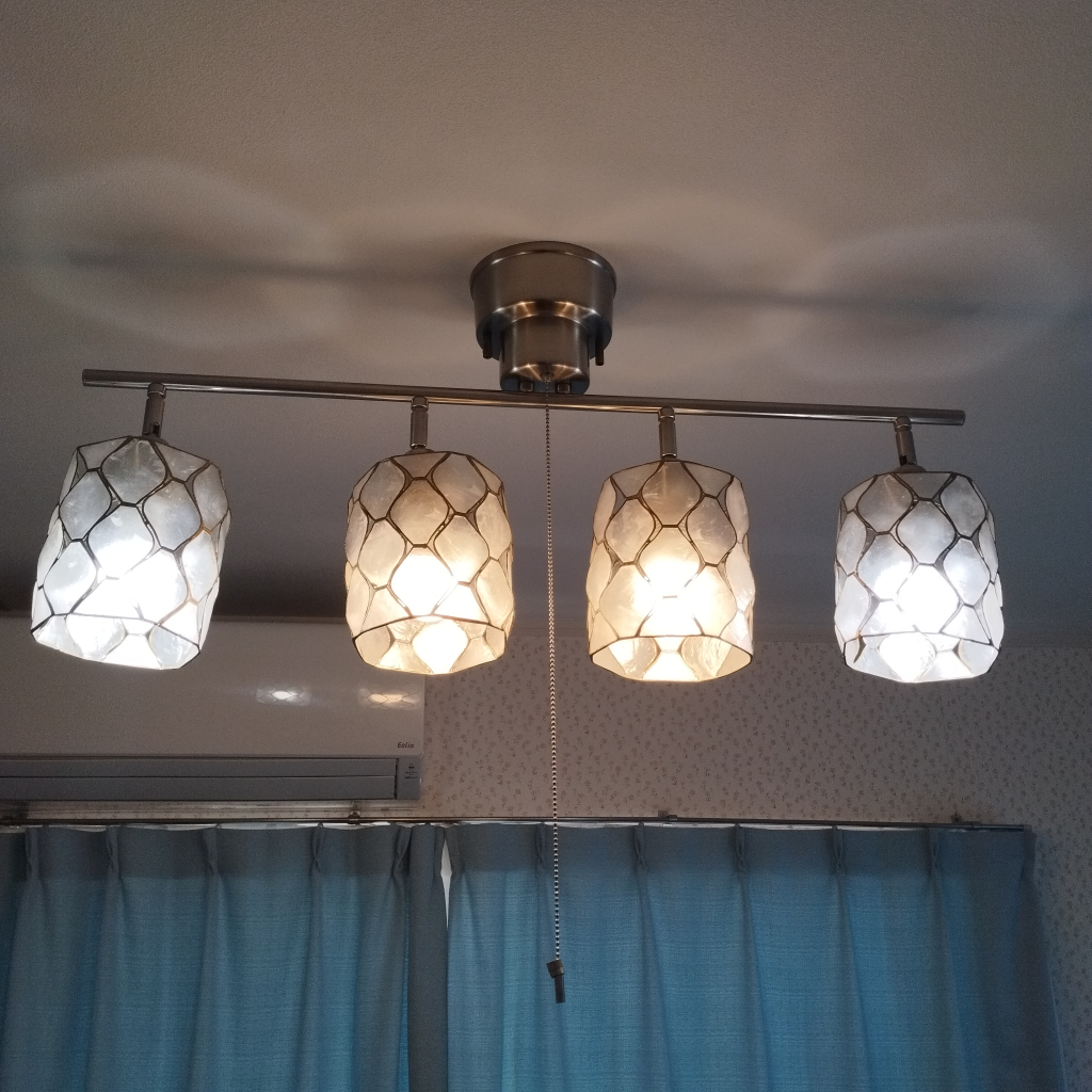 天井に照明器具が設置されています。