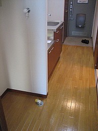 室内洗濯機置場です！