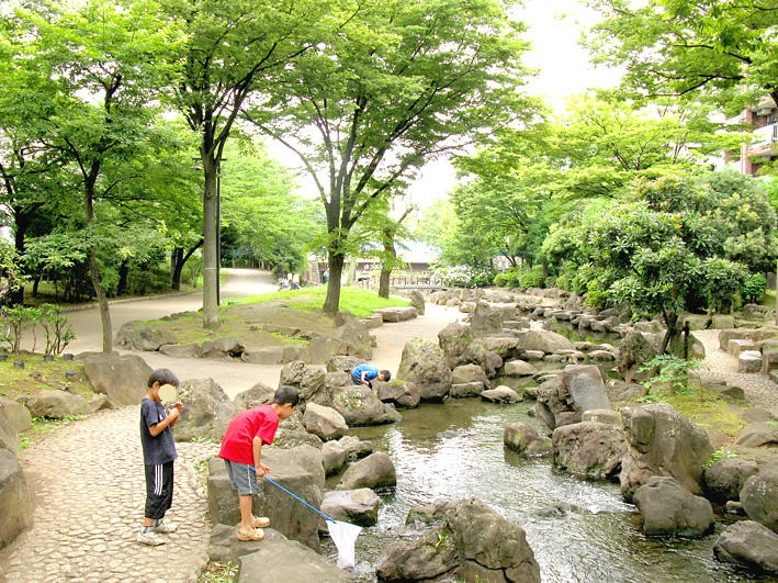 大横川親水公園まで529ｍ