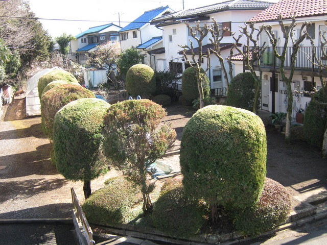 植栽
